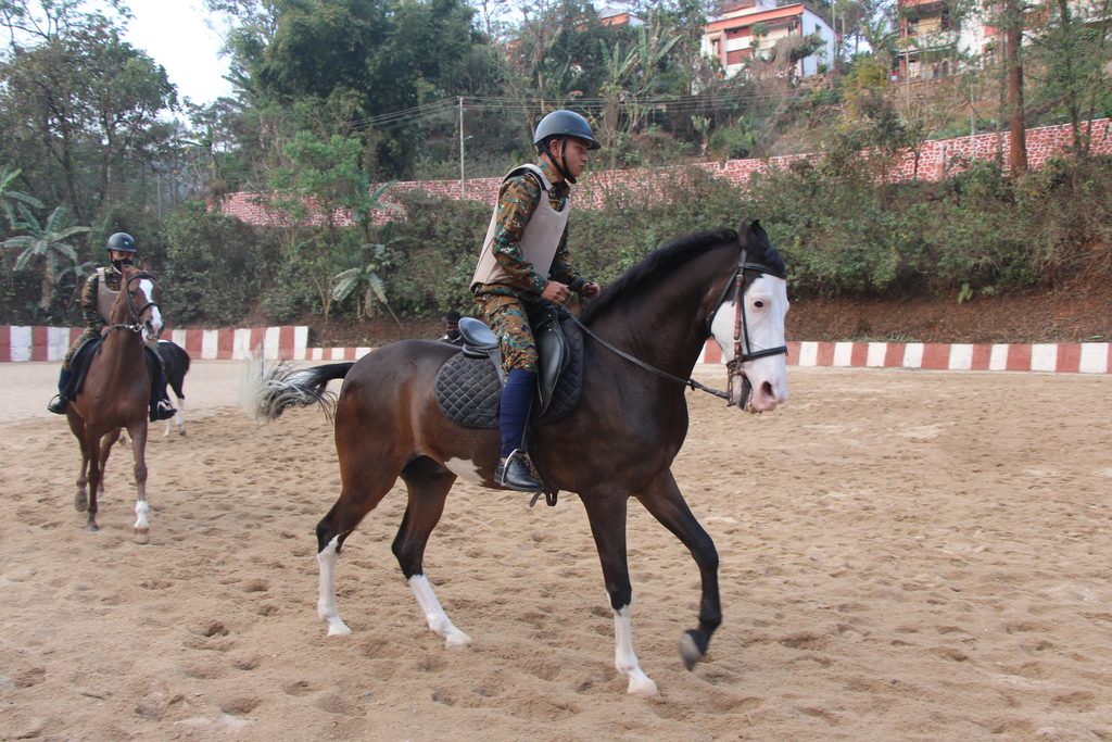 Photograph of Horse Riding